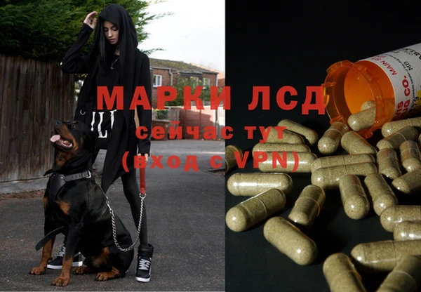 дживик Алзамай