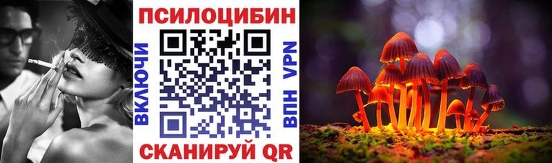 продажа наркотиков Кулебаки Псилоцибиновые грибы мухоморы
